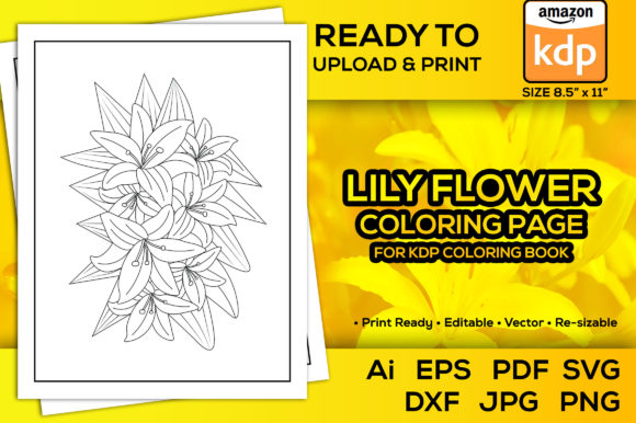 Kdp Interior Coloring Page Lily Flowers Graphics